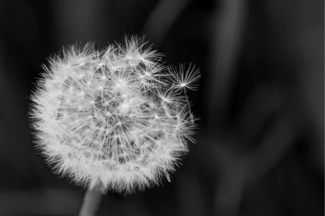 Jak wybrać idealny prezent dla osoby w żałobie, by pocieszyć?